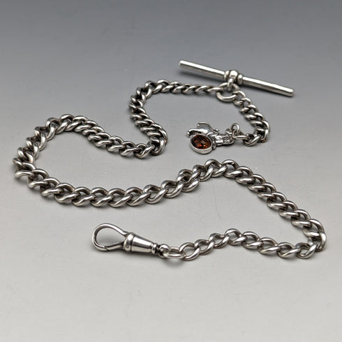 Circa 1910 British Antique Sterling Silver Albert Chain 34g Lion Fob with Amber
